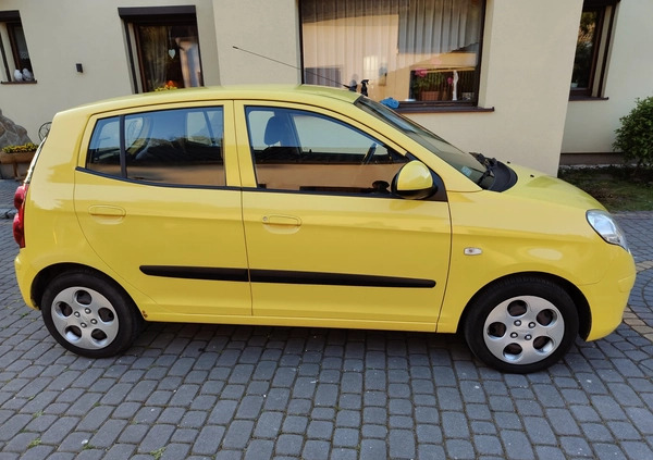 Kia Picanto cena 11900 przebieg: 130000, rok produkcji 2008 z Duszniki-Zdrój małe 56